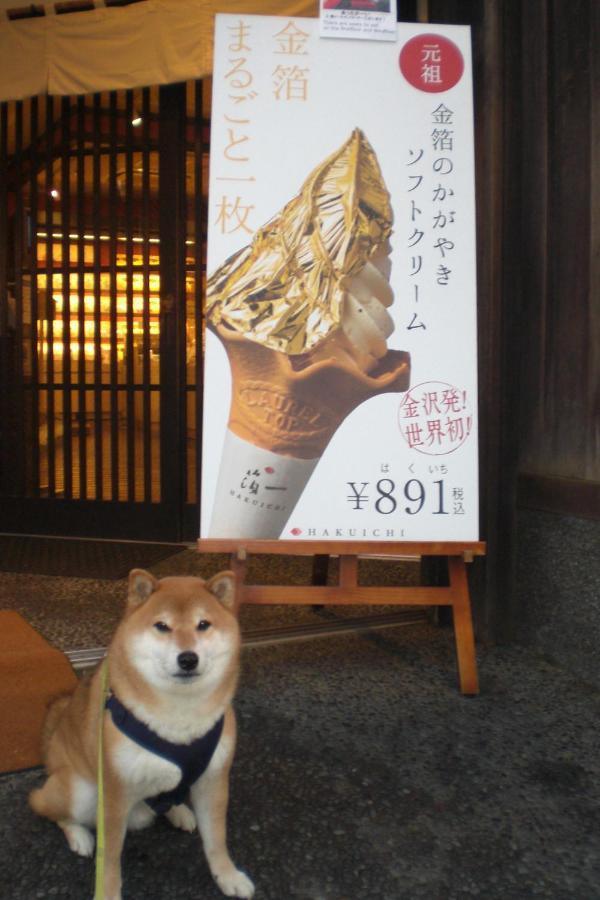Kanazawa Share House Gaooo Екстериор снимка