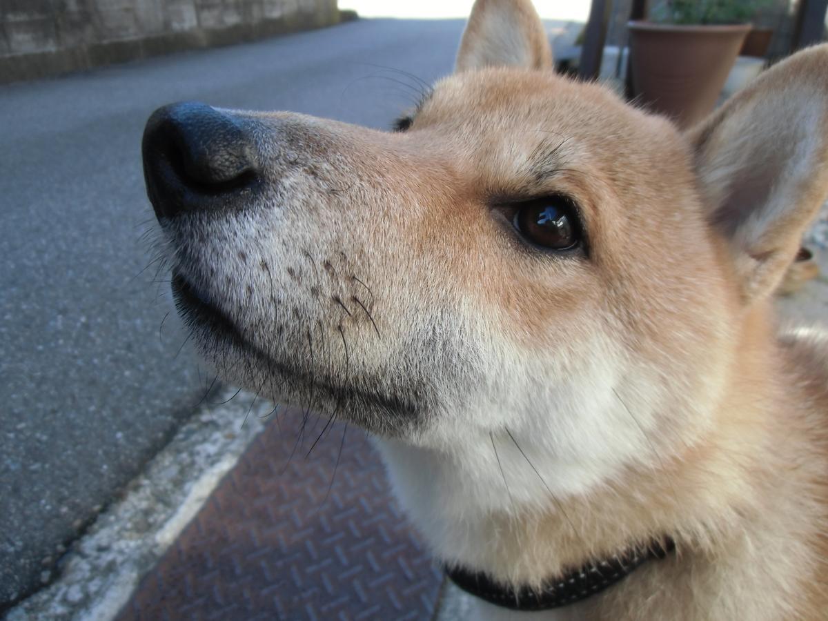 Kanazawa Share House Gaooo Екстериор снимка