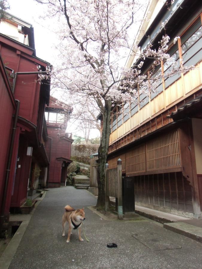 Kanazawa Share House Gaooo Екстериор снимка