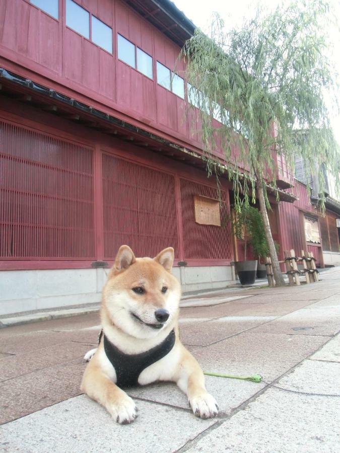Kanazawa Share House Gaooo Екстериор снимка